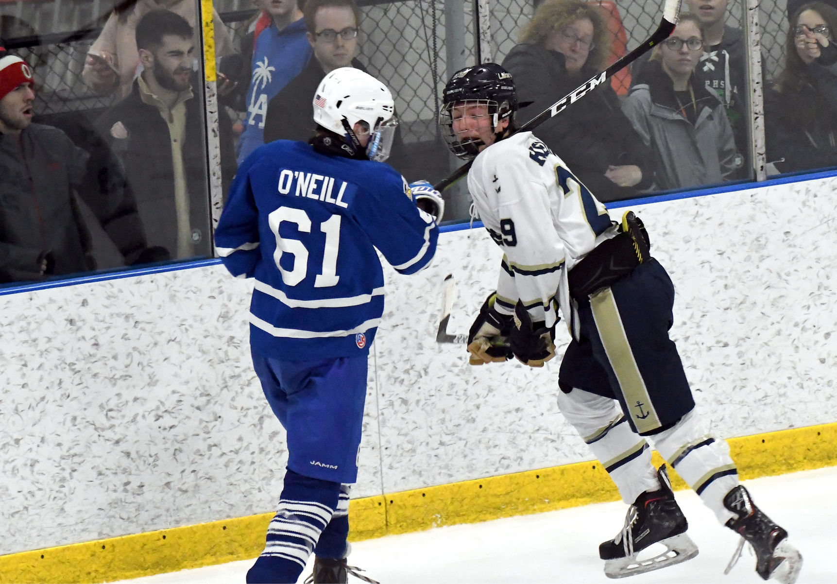 Skaneateles Grand Island 18.JPG